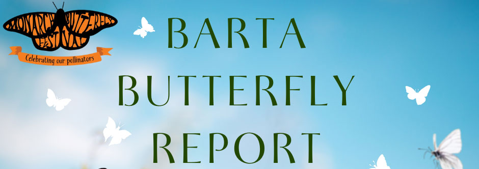 blue sky with orange butterfly in upper left corner. text says Barta Butterfly Report