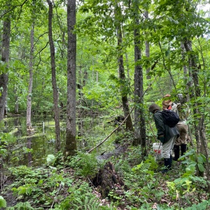 People viewing a vernal pool in the forest